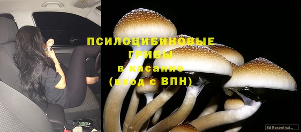 MDMA Premium VHQ Липки